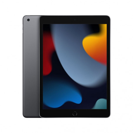 Tablette ipad 9e génération 256 Go 4G Gris Sidéral